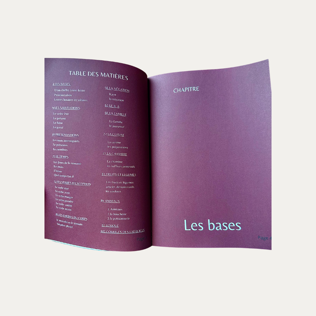 Ebook Parles enfin darija avec audio inclus